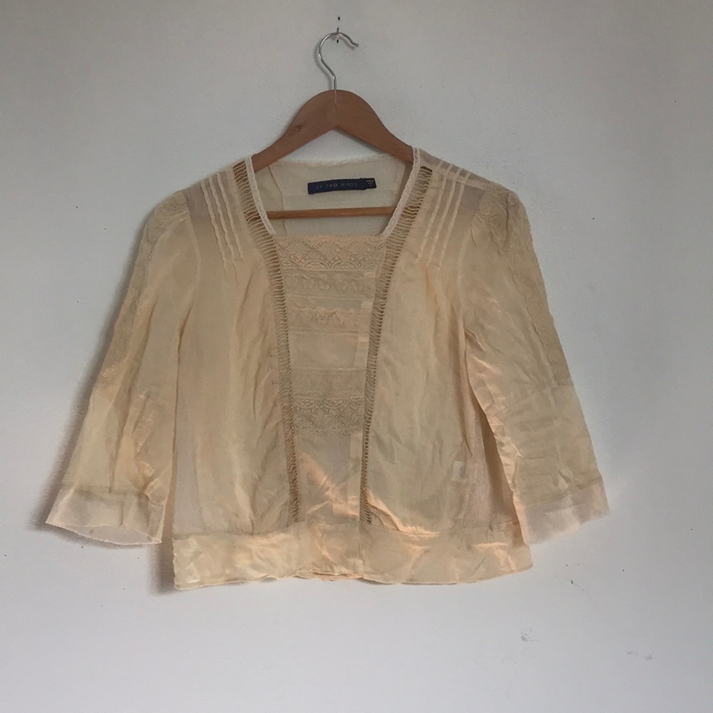 Of two minds - peasant Victorian blouse